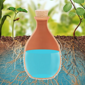 Olla`s, smarte effektive Pflanzenbewässerung