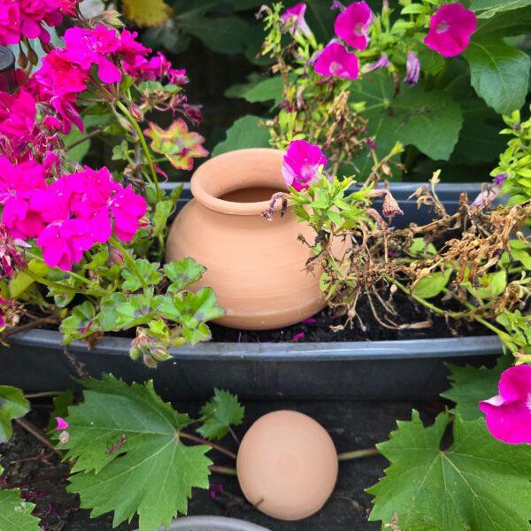 650-Milli-Liter-Olla, Effektive Pflanzenbewässerung für Blumenkästen